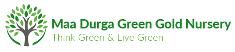 Maa Durga Green Gold Nursery Logo